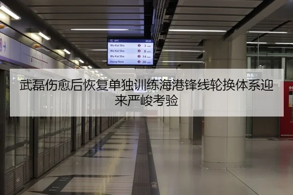 武磊伤愈后恢复单独训练海港锋线轮换体系迎来严峻考验